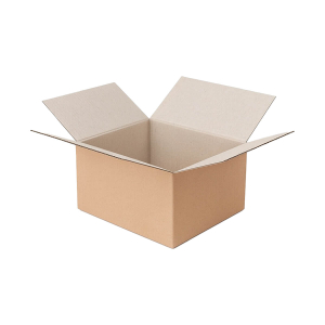 Cardboard Shipping Box - 2