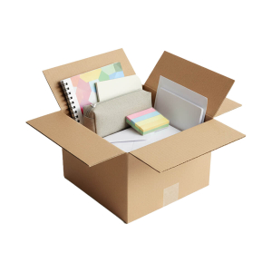 Cardboard Shipping Box - koliciabla