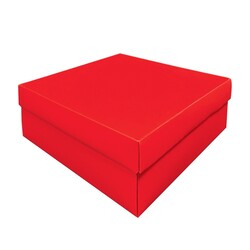 24x24x10cm Hediye Kutusu 10 Adet - Thumbnail