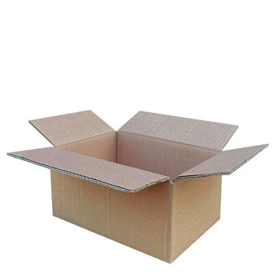 30x20x15cm Çift Oluklu Koli