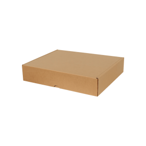 Cargo Box 50x40x10cm - 3