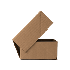 Kraft E-Ticaret Kargo Kutusu (17.5x8x6 cm) - 2