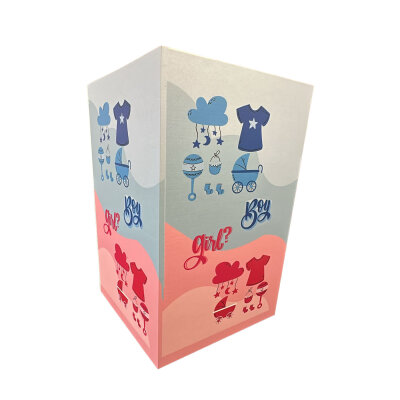 Mavi ve Pembe 'Boy and Girl' Baskılı Cinsiyet Partisi Sürpriz Kutusu (52x52x90 cm) - KoliciAbla