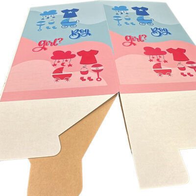 Mavi ve Pembe 'Boy and Girl' Baskılı Cinsiyet Partisi Sürpriz Kutusu (52x52x90 cm) - 3