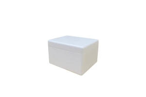 Styrofoam Box 1/2Kg D1 - 1