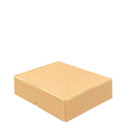 Tek Oluklu Kargo Kutusu (14x14x6.5 cm) - 2