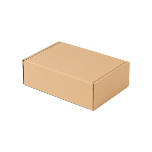 Tek Oluklu Kargo Kutusu (19x13x5.5 cm) - 4