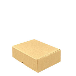 Tek Oluklu Kargo Kutusu (27x18x7 cm) - 2